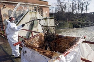 Zagreb, 25. veljače 2010. - aktivnosti na uklanjanju zaprljanja iz rijeke Po s talijanske strane započela su po dojavi o onečišćenju